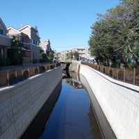 神田川　中井橋より番屋橋側