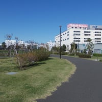 東糀谷防災公園(わくわくランド)