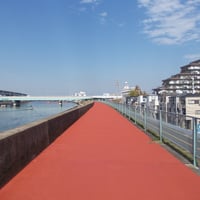 中川沿い　江戸川区船堀一丁目付近