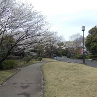 国会前庭南地区