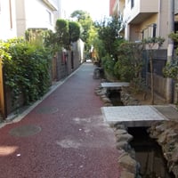 下小岩親水緑道