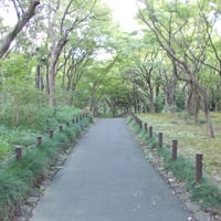 北の丸公園