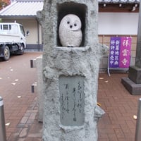 梟