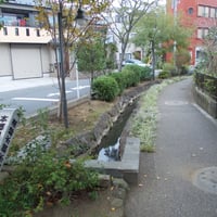 本郷用水親水緑道　江戸川区鹿骨2-26