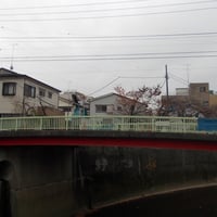 石神井川　堰の上橋