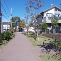 西篠崎さくら公園
