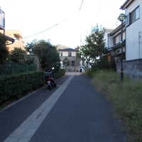 綾瀬ふれあいの古径