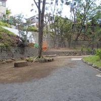 音無さくら緑地（音無渓谷）