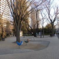 西戸山公園
