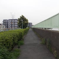 中川沿い　葛飾区東立石4-1