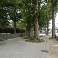 松沢けやき公園