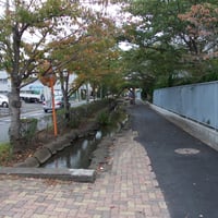 鹿骨親水緑道　江戸川区鹿骨2-12