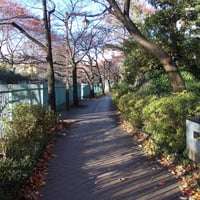武蔵野の路石神井川コース　板橋区板橋4-45