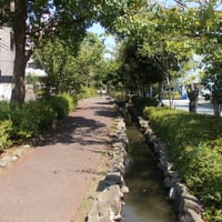 葛西親水四季の道　江戸川区西葛西7-19