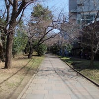 外濠公園