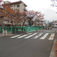 石神井川　御成橋