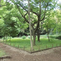岡本静嘉堂緑地