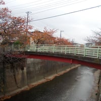 石神井川　西堰橋