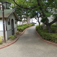 仲割川遊歩道　江戸川区東葛西8-1