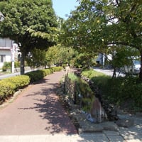 葛西親水四季の道　江戸川区西葛西7-18