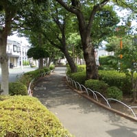 仲割川遊歩道　江戸川区東葛西8-7