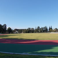和田堀公園 済美山運動広場