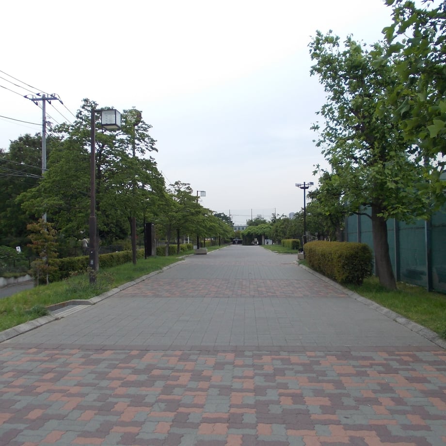 53c8bf8d236a1ecbcc000039