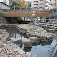氷川つり堀公園