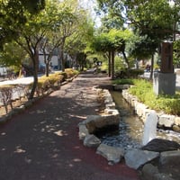 葛西親水四季の道　江戸川区西葛西7-20