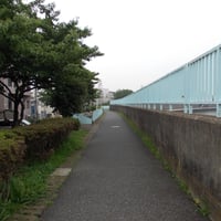 中川沿い　葛飾区奥戸1-16