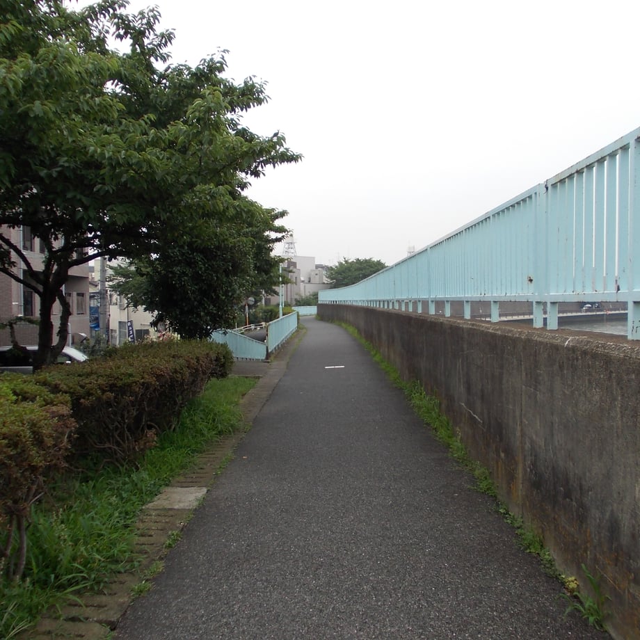 551e47b0391bb37ab20003eb