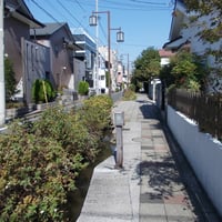 上小岩親水緑道　江戸川区北小岩5-7･12