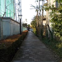 内戸越堀コミュニティ道路　足立区東和1-16