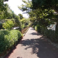 葛西親水四季の道　江戸川区西葛西7-17