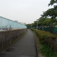 中川沿い　葛飾区奥戸1-17