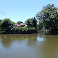 碑文谷公園　碑文谷池