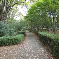 北の丸公園