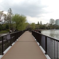 上野公園　　不忍池沿い