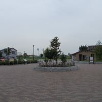 東立石緑地公園