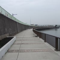 中川縁　葛飾区西新小岩5-15