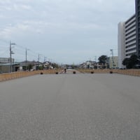 新川　花見橋