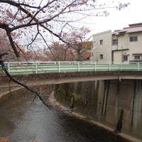 石神井川　双栄橋