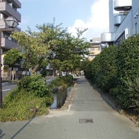 葛西親水四季の道　江戸川区中葛西3-20