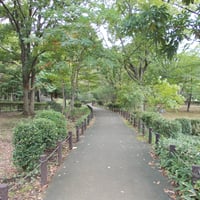 北の丸公園