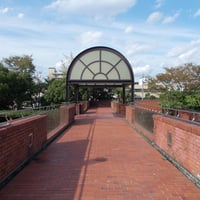総合レクリエーション公園フラワーガーデン