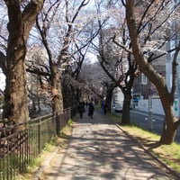外濠公園