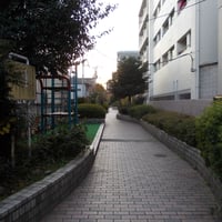 谷端川南緑道　豊島区池袋3-71