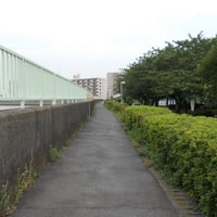 中川沿い　葛飾区東立石1-23