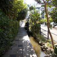 上小岩親水緑道　江戸川区北小岩5-7･12