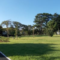 和田堀公園 済美山運動広場